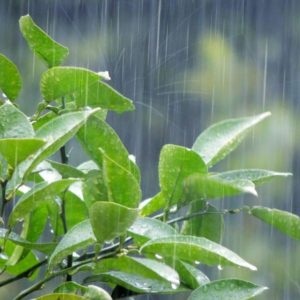 熊本で雨漏りしたら大示技建にお任せ下さい！